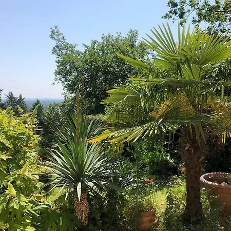 Apartment Le Jardin Suspendu